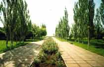 ��������� �����