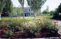 ����������� ������