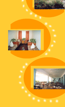 �����, ��������