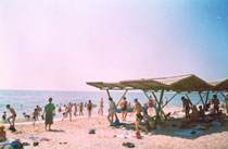 ��������� ����